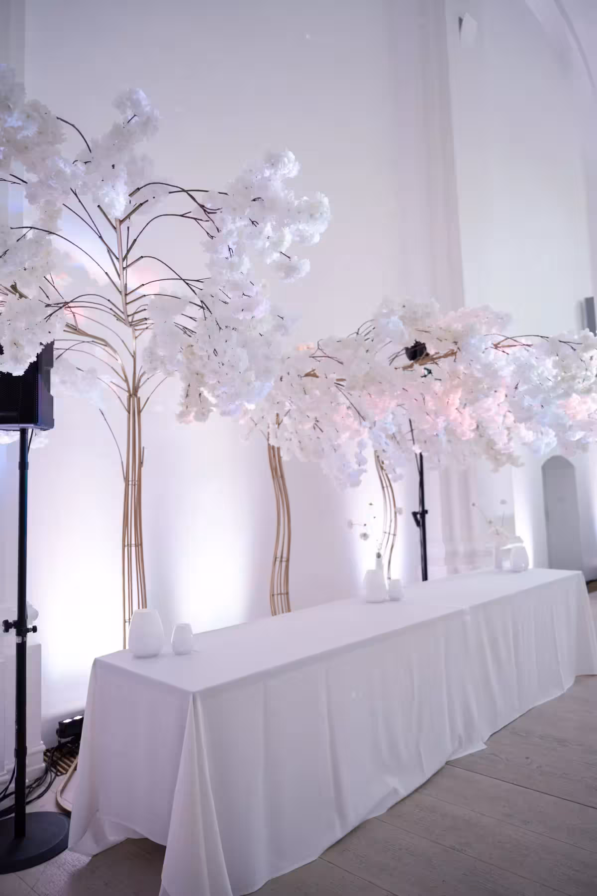 Indrė & Veslavas wedding