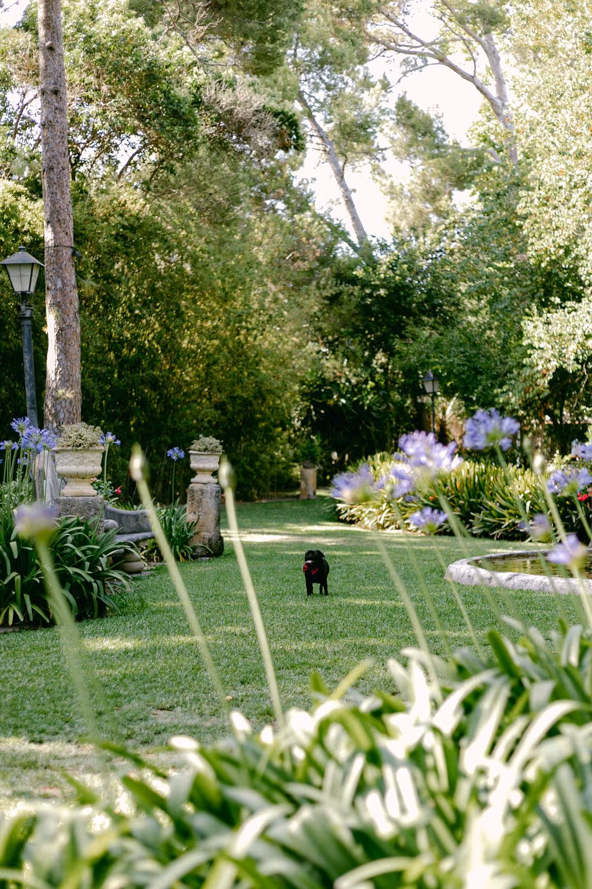 Katerina & Ivan wedding